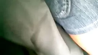 Puma de cabelo louro ...