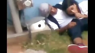 A gata caucasiana La ...
