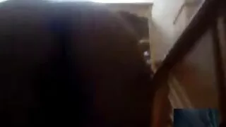 filme sexo brasileiro gratis