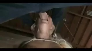 Cachorrinho com sede ...