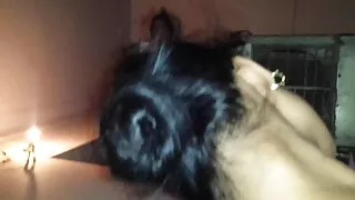 Prostituta de cabelo ...
