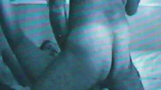 Cadela pornô gratis  ...