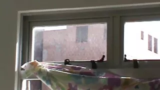 Prostituta de cabelo ...