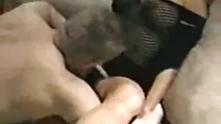 O melhor do porno gr ...